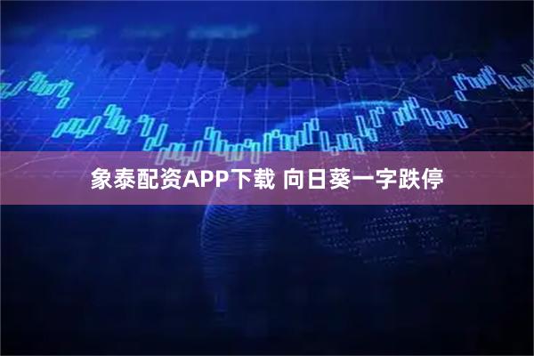 象泰配资APP下载 向日葵一字跌停