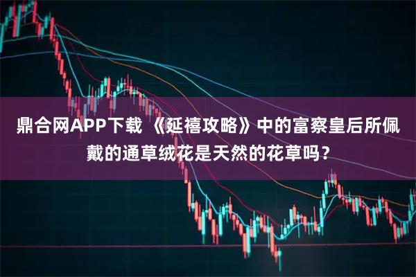 鼎合网APP下载 《延禧攻略》中的富察皇后所佩戴的通草绒花是天然的花草吗？